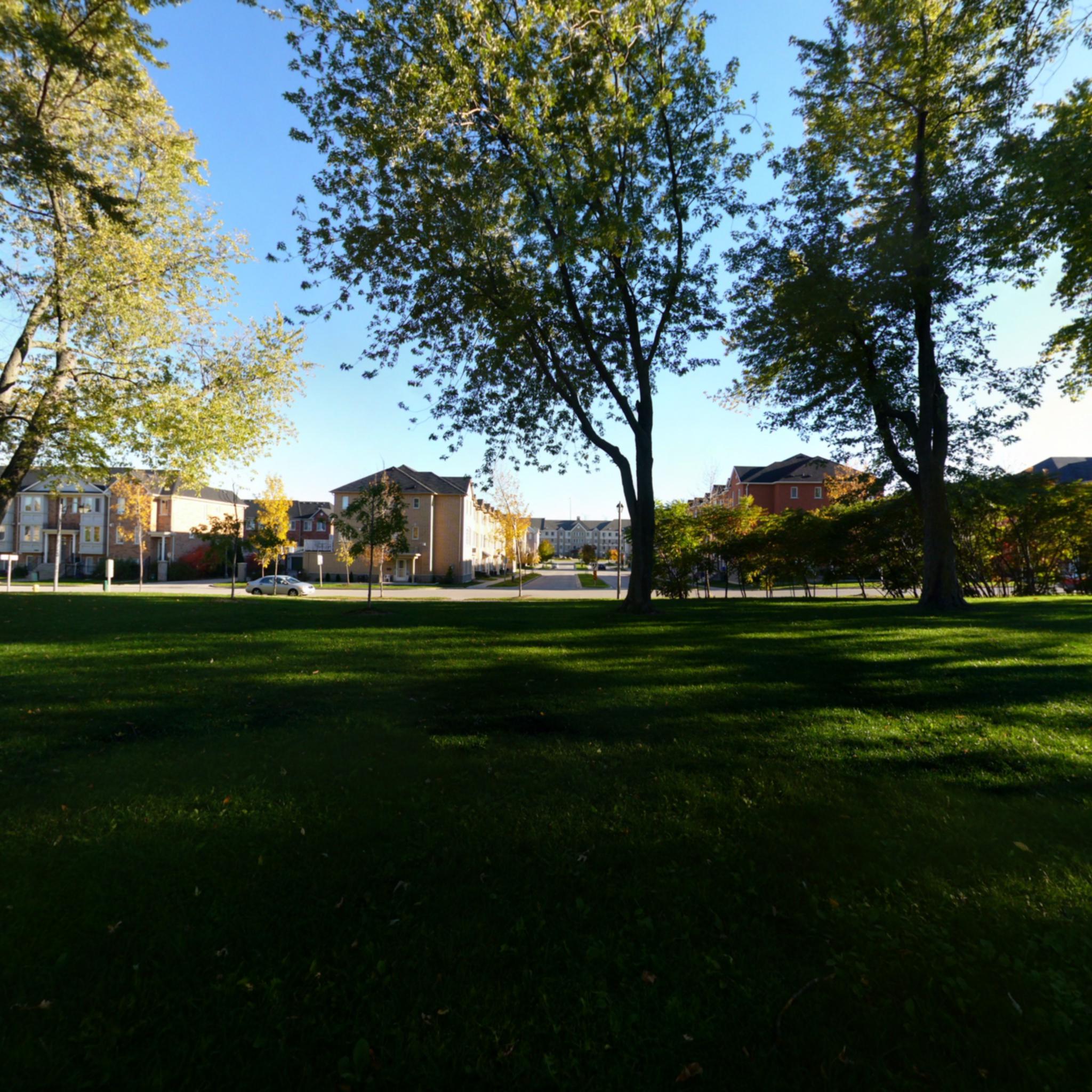 新增资讯副本副本