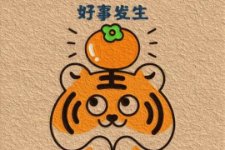 网课子规格二