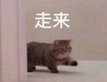 复用CC直播间ID